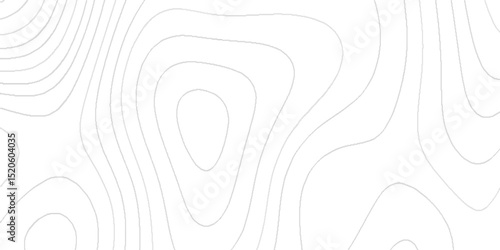 Detailed abstract topography contour background with geographic elevation curves, terrain mapping pattern, modern cartography design, land survey illustration landscape texture for decorative mapping.