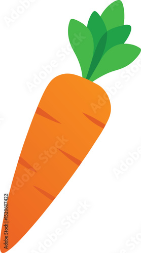 carrot top  vector on white background
