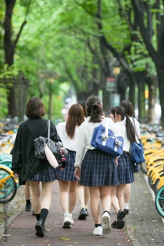 Photography In early summer in Shanghai's Pudong district, seven Japanese high school girls in summer uniforms walk together along a tree-lined city street toward school, smiling as they go, seen from behind