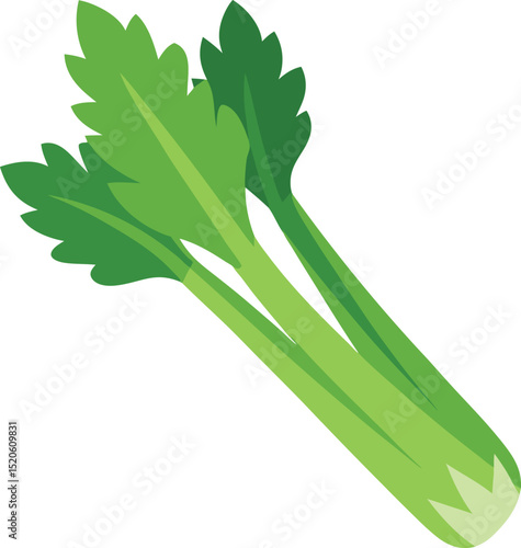 celery stalk vector on white background 