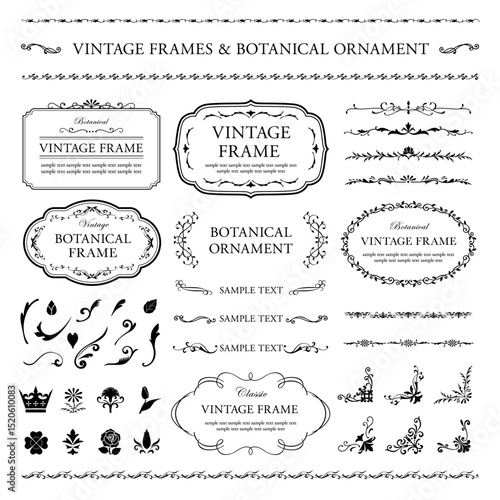 vintage frames & botanical ornament set black