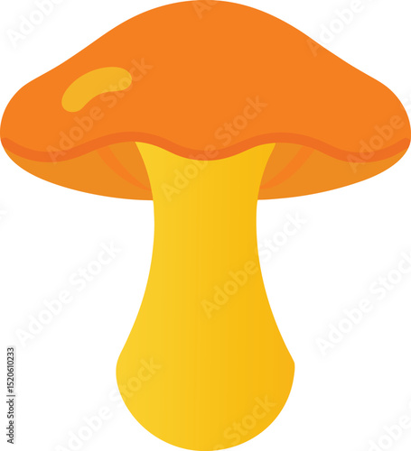 chanterelle mushroom  vector illustration on white 