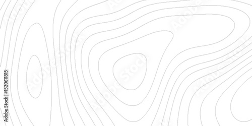 Abstract topography contour lines modern elevation map pattern minimal geographic landscape background creative terrain texture decorative earth layers mapping design for posters prints wallpapers.