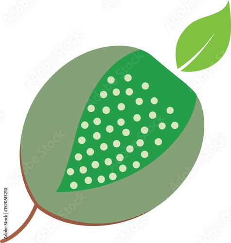 chia seed  vector on white background  