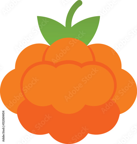 cloudberry vector illustration on white background 