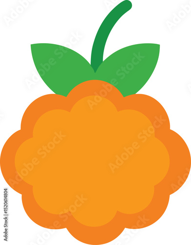 cloudberry vector illustration on white background.eps