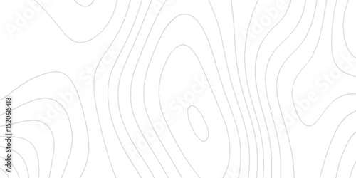 Topography texture with intricate contour lines elevation patterns abstract terrain shapes geographic mapping details mountain ridges valley curves landscape design elements and artistic background.