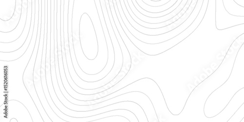 Minimal Abstract Topography Pattern Modern Design in Detailed Terrain Elevation Map with Gradient Relief Organic Wavy Contour Lines Creating with Artistic Landscape Colorful 3D Topographic Map.