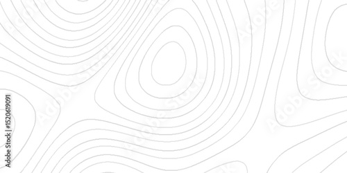Topography texture with intricate contour lines elevation patterns abstract terrain shapes geographic mapping details mountain ridges valley curves landscape design elements and artistic background.