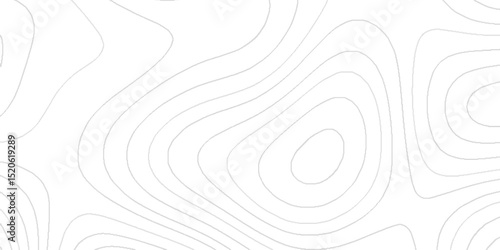 Topography texture with intricate contour lines elevation patterns abstract terrain shapes geographic mapping details mountain ridges valley curves landscape design elements and artistic background.