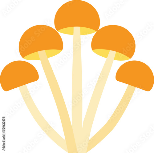 enoki mushroom  vector illustration on white 