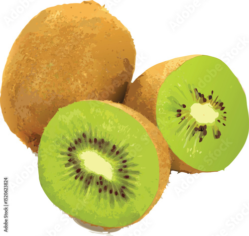 Colorful kiwi fruit with leaves  icon  vector illustration on transparent background.