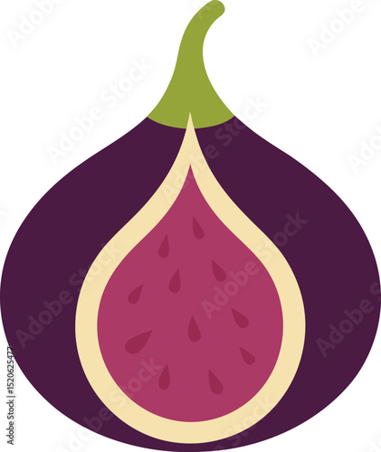 fig fruit e vector illustration on white 
