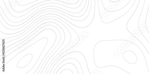 geography scheme and the terrain path abstract topographic contour map, wave paper curved reliefs abstract geometric pattern, wave Line topography map contour background.