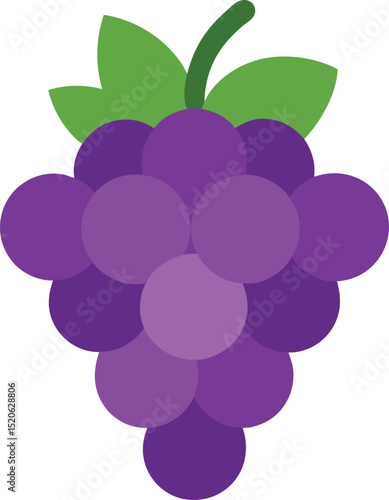 grapes cluster  vector on white background  