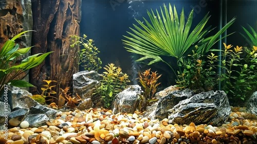 room aquarium with large palm leaves