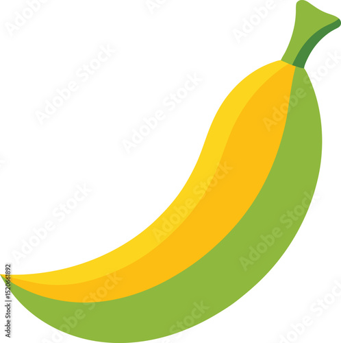 plantain fruit  vector on white background  