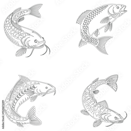 Cod fish set line art and isolated on white background illustrator eps  10
