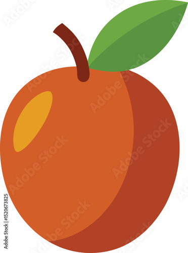 sapodilla fruit vector on white background   