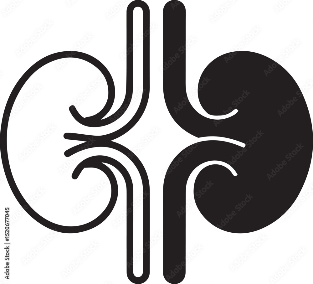 Obraz premium Human kidneys icon medical illustration outline filled