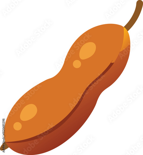 tamarind pod  vector illustration on white 