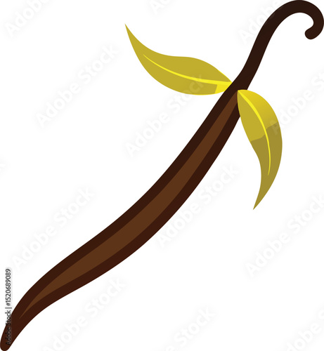 vanilla bean vector on white background  