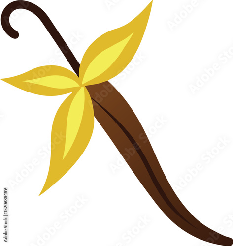 vanilla bean vector on white background  .eps