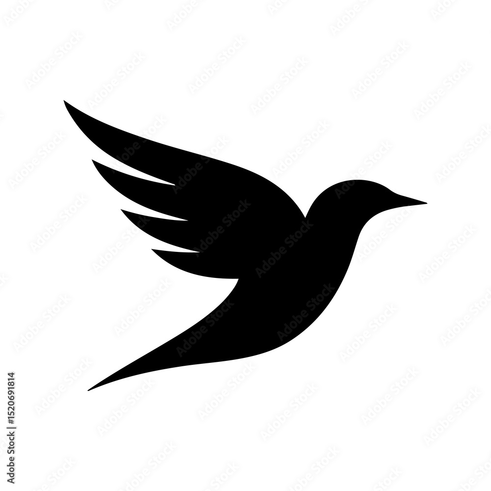 Fototapeta premium Silhouette of a Black Bird