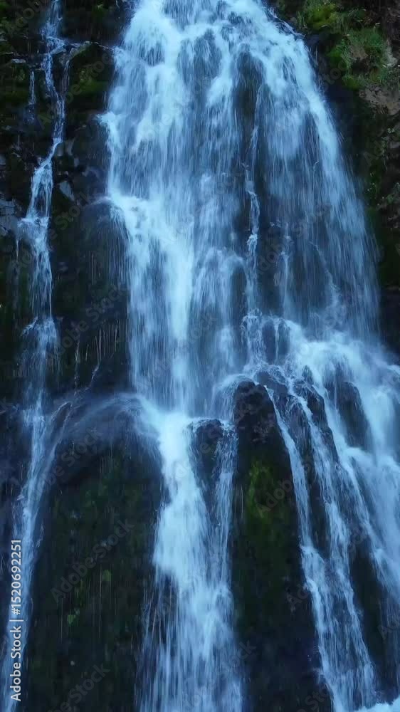 waterfall in the forest waterfall in the forest