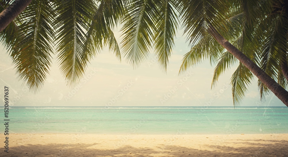 Tropical Beach Scene with Palm Trees and Turquoise Water Tropical Beach Scene with Palm Trees and Turquoise Water