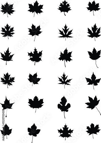 Vector Maple Leaf Silhouettes Set – Autumn Fall Nature Icon Pack.