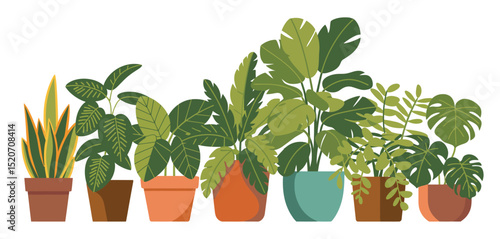 Collection of Houseplants in Colorful Pots