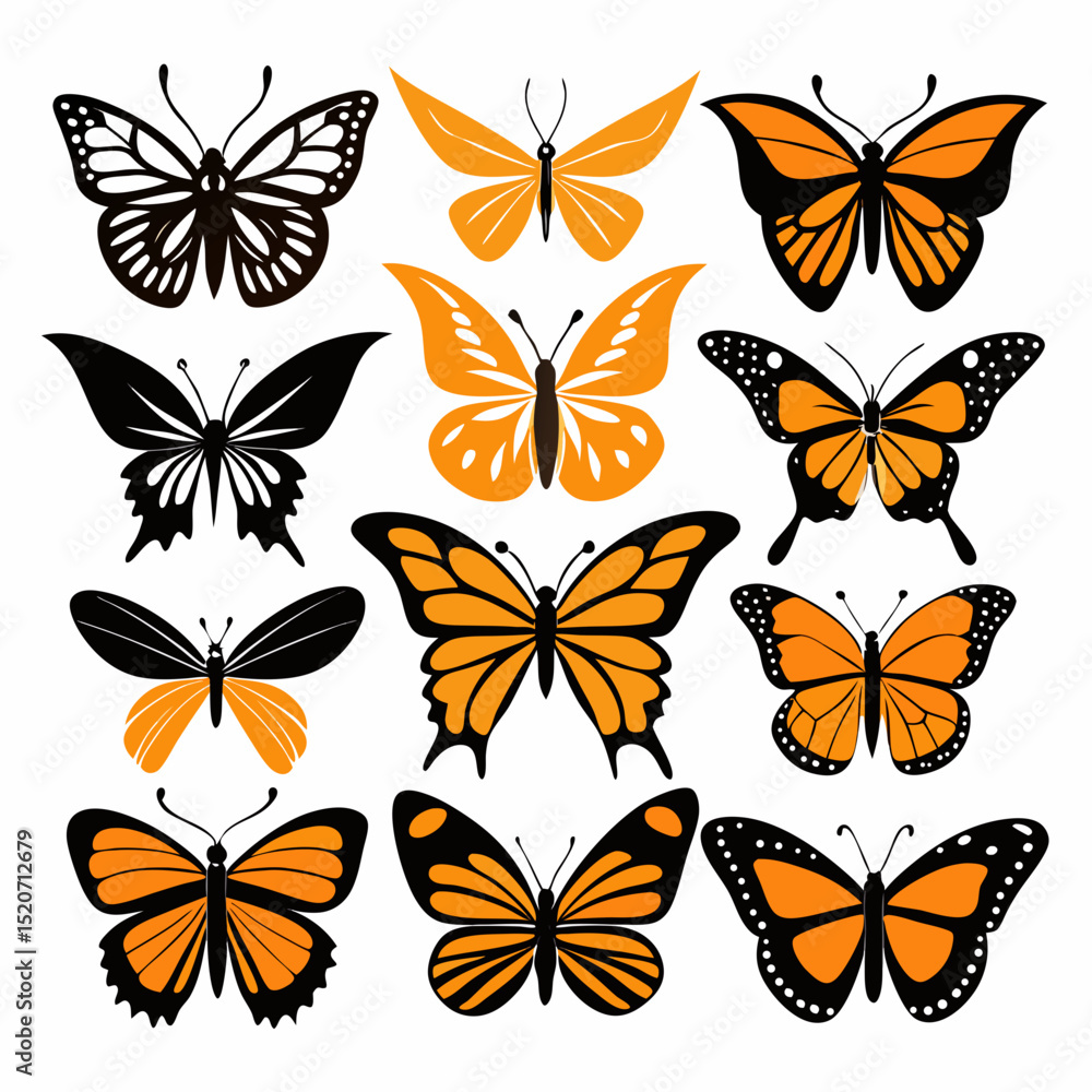Obraz premium Butterfly Silhouette and Colored Vector Set