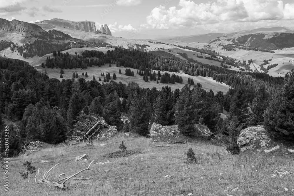 Fototapeta premium The wide meadows on the northern side of Sciliar mount in the Dolomites