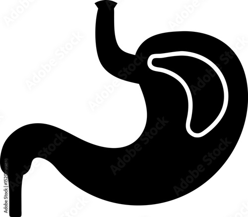 Digestive System Icon Silhouette Vector Illustration