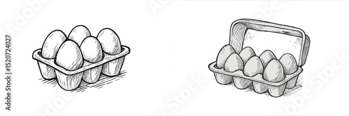Detailed illustration of eggs in a carton showing various angles, highlighting their texture and form in a conceptual drawing style