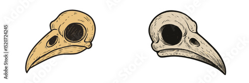 Detailed illustration of two bird skulls, showcasing distinct colors and textures in a naturalistic style