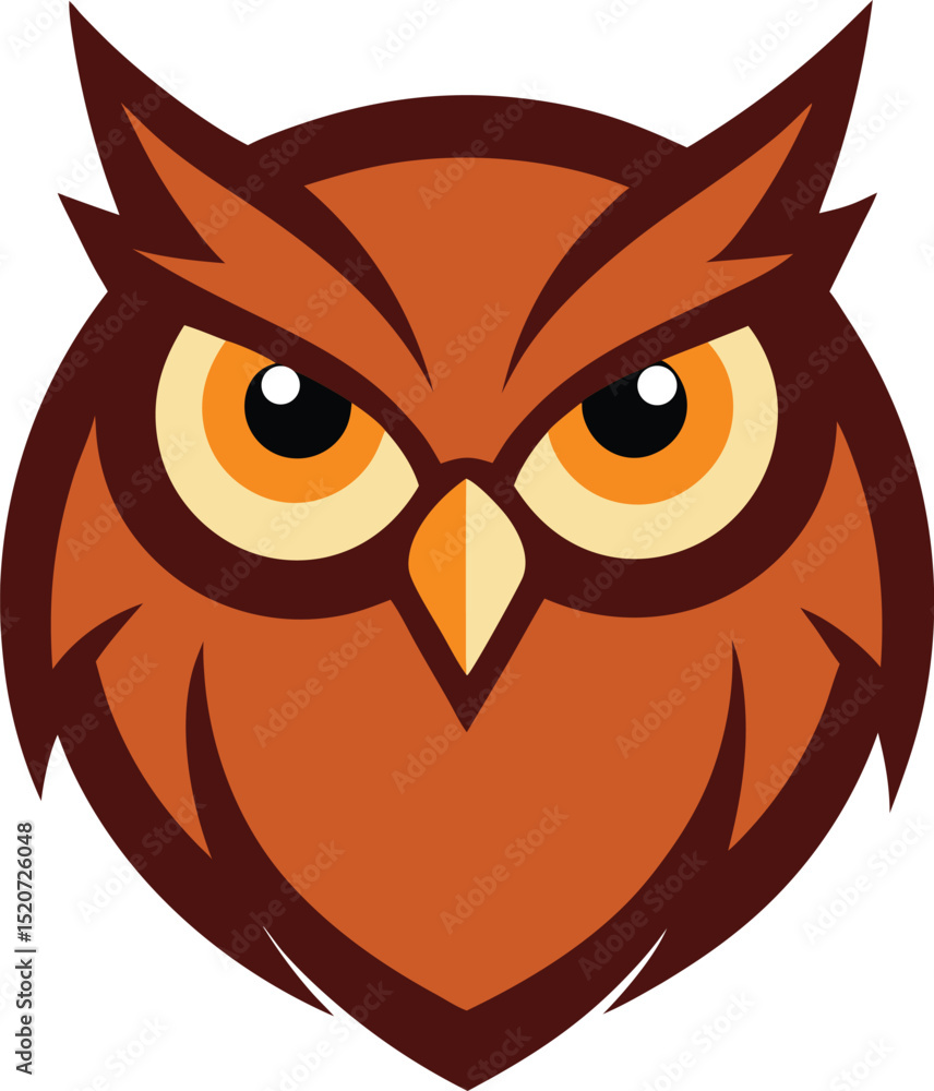 owl on white background owl on white background