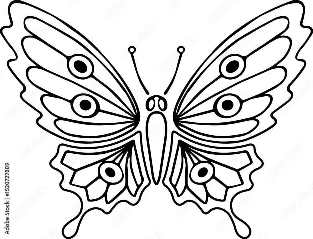 Vector graphic of flying butterfly in a top view isolated on white background. Vector graphic of flying butterfly in a top view isolated on white background.