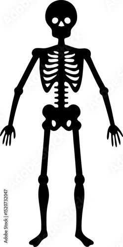 Human Skeleton Silhouette Vector Illustration 