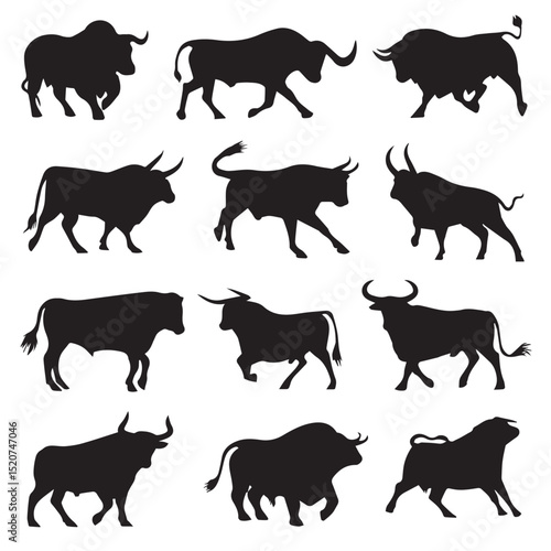 black bull isolated on white