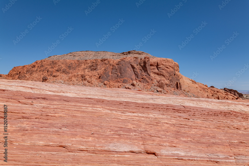 Fototapeta premium red Aztec Sandstone outcrops, Early Jurassic geological formation of primarily eolian sand. Fire Wave Trail, Valley of Fire State Park, Clark County, Nevada geology. 