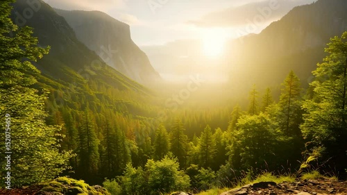 Sunlit Valley Surrounded by Forested Mountains in Warm Glow Landscape