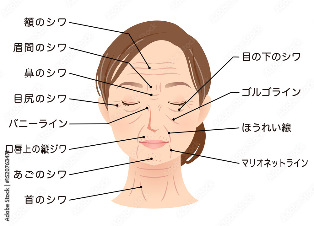 Fototapeta premium シワの種類 女性の顔 美容 シニア女性