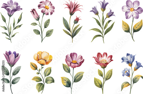Wallpaper Mural Watercolor Anemone Flowers Hand-Painted  Purple Floral Clipart Set with Green Leaves, Isolated on White Background. Torontodigital.ca
