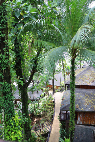 Wooden houses in the tropics by the sea coast. Thailand, Khao Lak