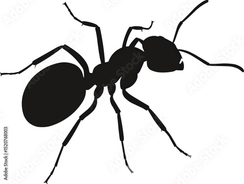 Ant silhouette vector illustration black and white insect arthropod formicidae design graphic isolated simple on transparent background