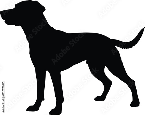 black dog silhouette cutout isolate into transparent background