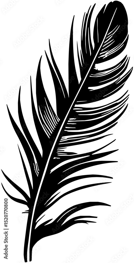 Obraz premium feather vector illustration