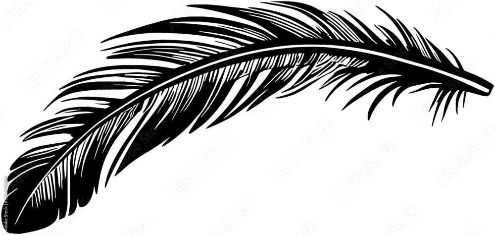 Obraz premium Feathers Vector